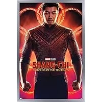 シャンチー ポスター Amazon.co.jp: Trends International マーベル シャンチーとテン